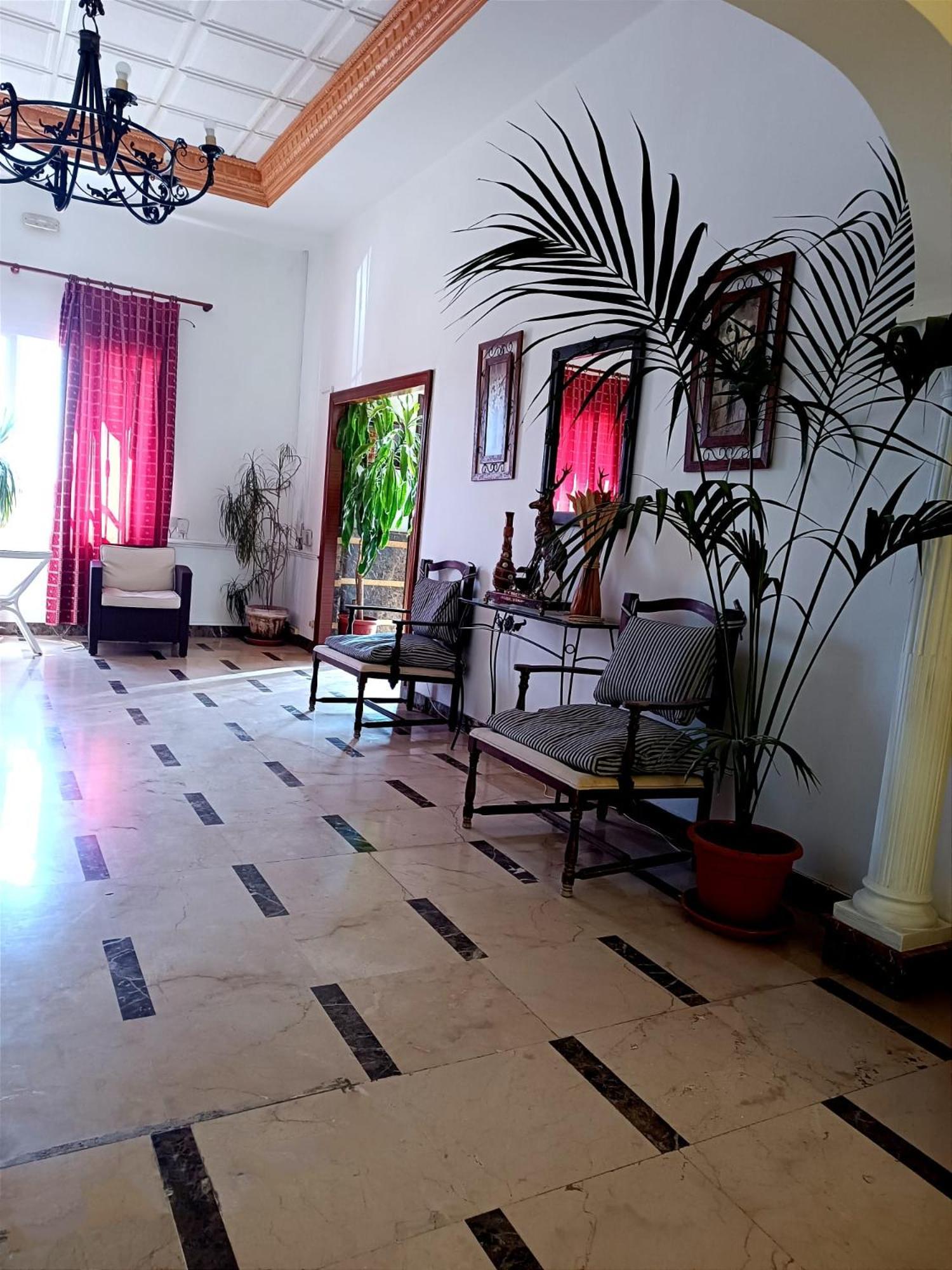 Hostal El Lirio Bollullos Par del Condado Zewnętrze zdjęcie
